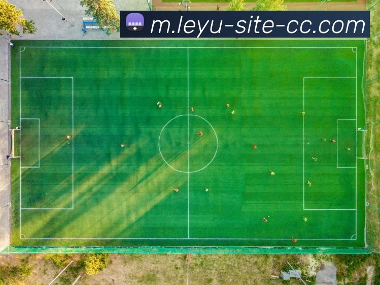 乐鱼体育平台生态图