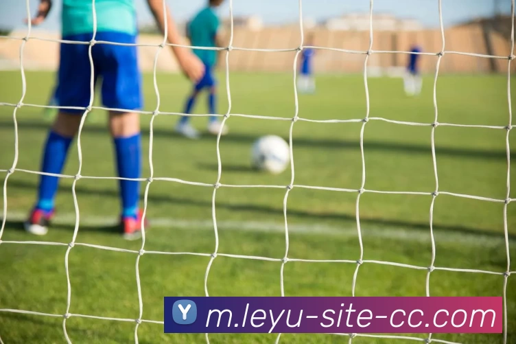 乐鱼体育全站App